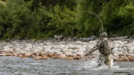 Cabela's